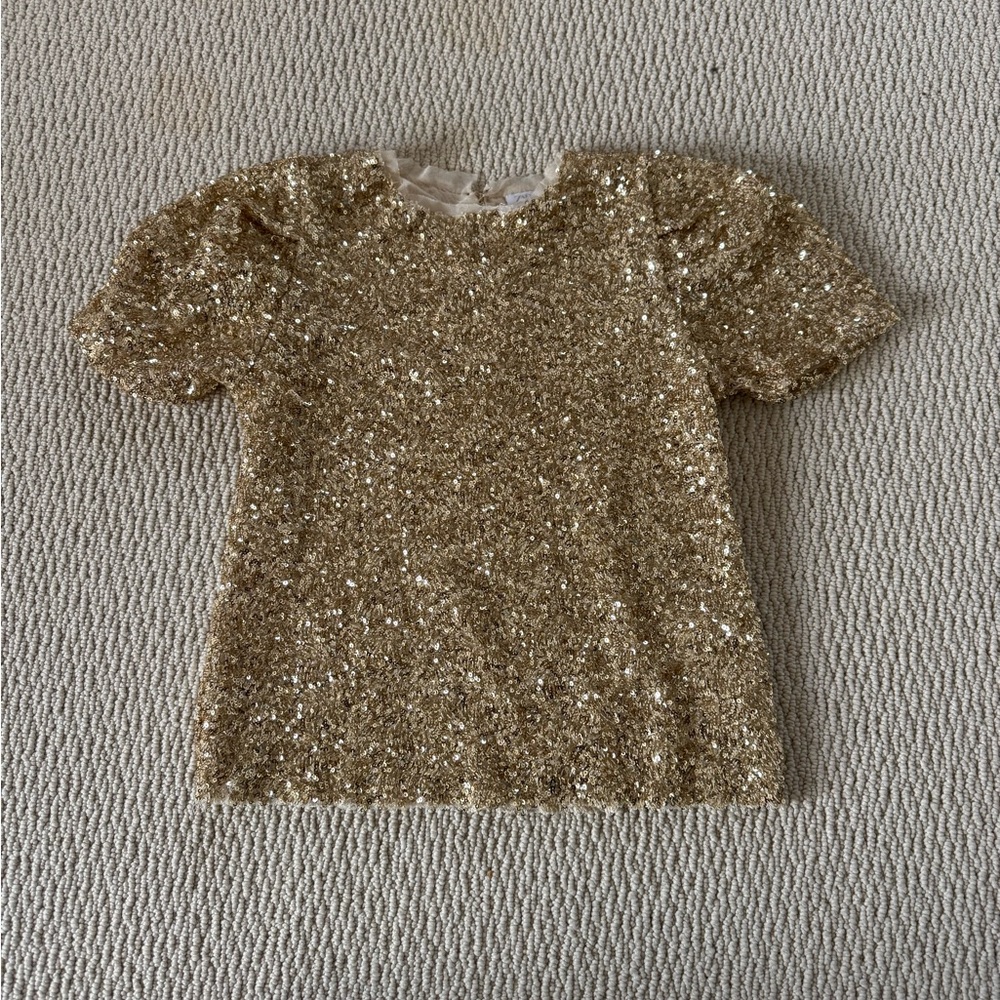 Zara Gold Sequin Short Sleeve Top